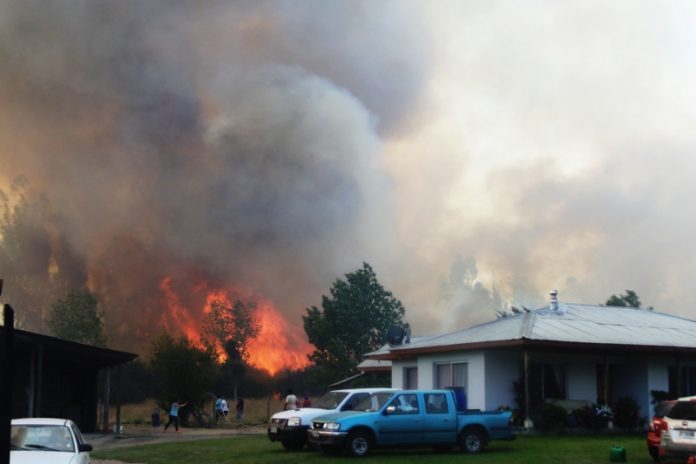 Cerca de mil hectáreas consume incendio forestal en San Pedro